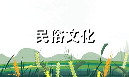 推荐2024年吉祥好运的狗狗名字，招财又不俗气